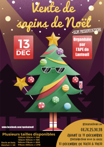 affiche-noel-19