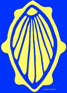 logo-coquille-St-Jacques