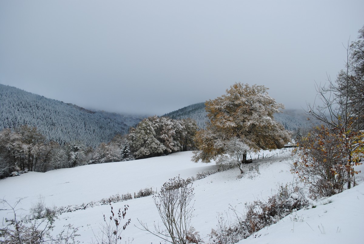 vue hiver 1