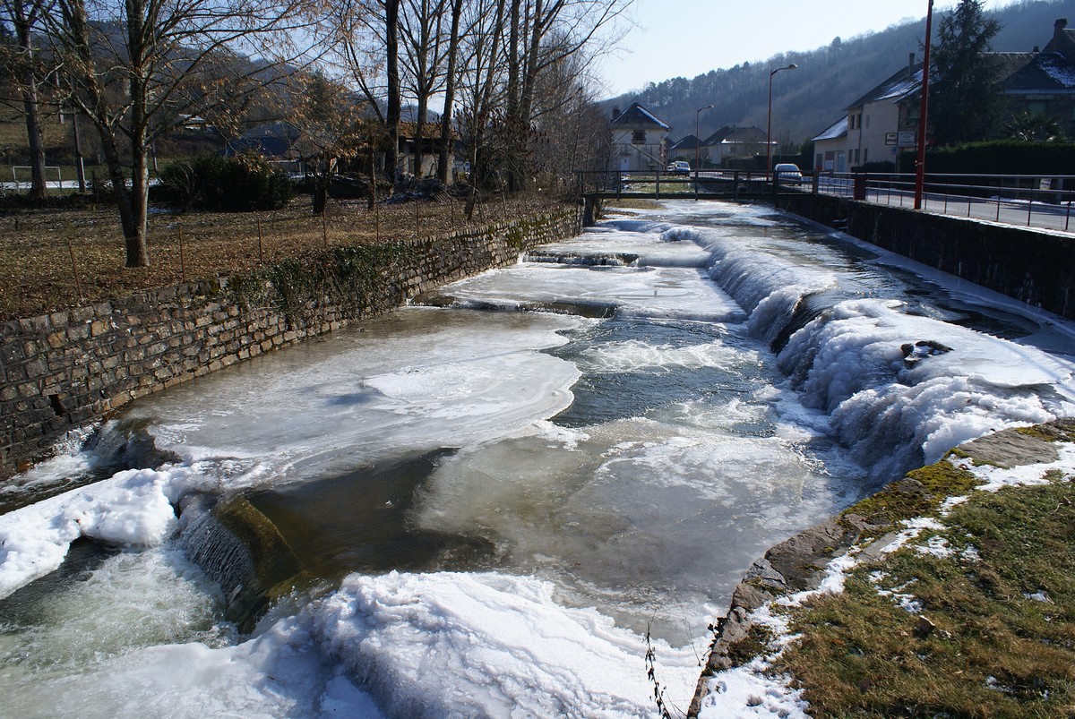 SONY DSC
