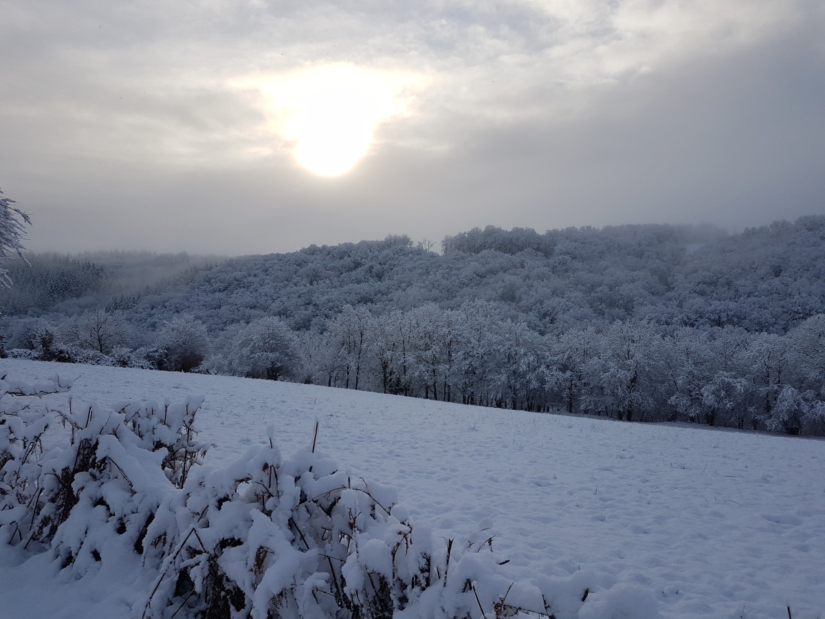NEIGE 2019